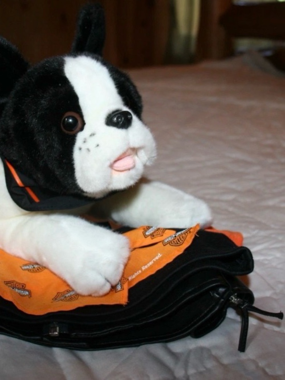 Harley-Davidson Black & White Plush Dog Toy with Leather Jacket and more
